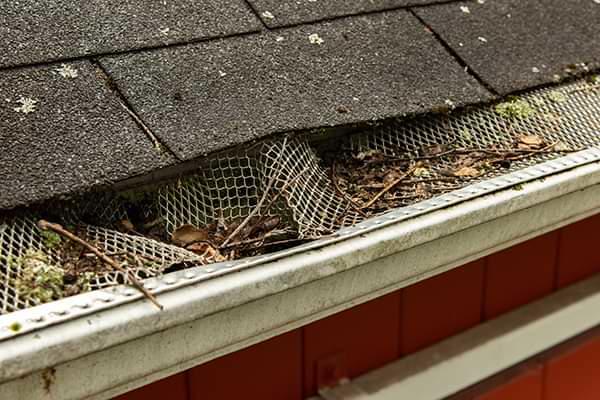 Florida clogged gutters
