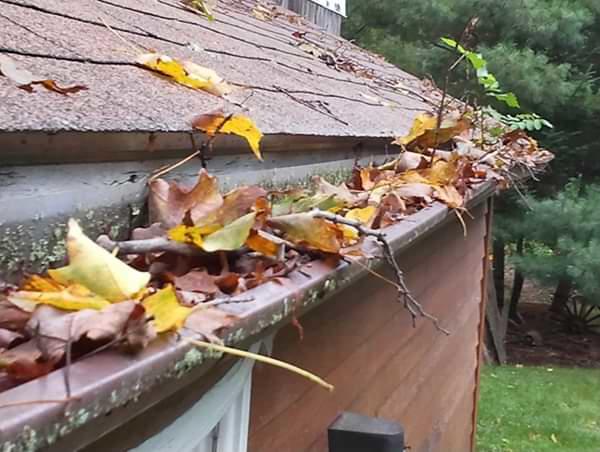 Greater Fort Lauderdale clogged gutters